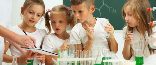 Examples of Formative Assessment in chemistry and slovenian language